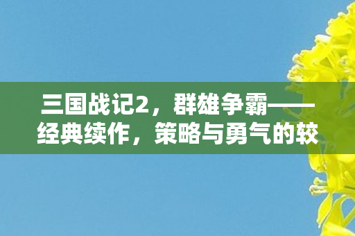 策略与勇气的较量图片