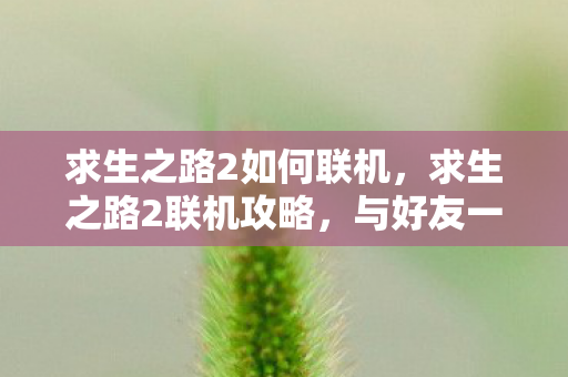 与好友一起闯荡末日世界图片