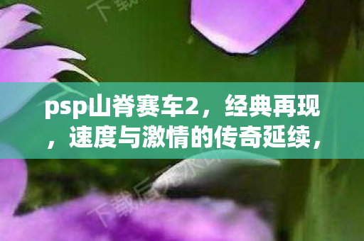 速度与激情的传奇延续图片
