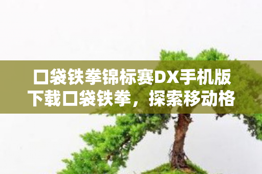 口袋铁拳锦标赛DX手机版下载口袋铁拳图片