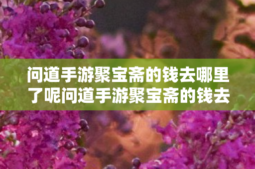 问道手游聚宝斋的钱去哪里了呢问道手游聚宝斋的钱去哪里了,问道手游聚宝斋的钱流向揭秘 问道手游聚宝斋的钱去哪里了呢问道手游聚宝斋的钱去哪里了,问道手游聚宝斋的钱流向揭秘