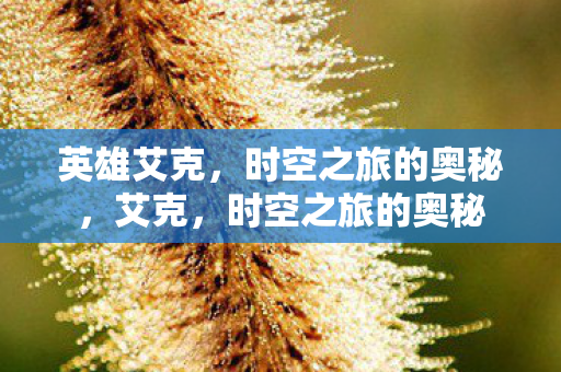 时空之旅的奥秘图片