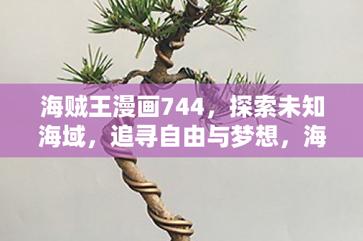 海贼王漫画744图片
