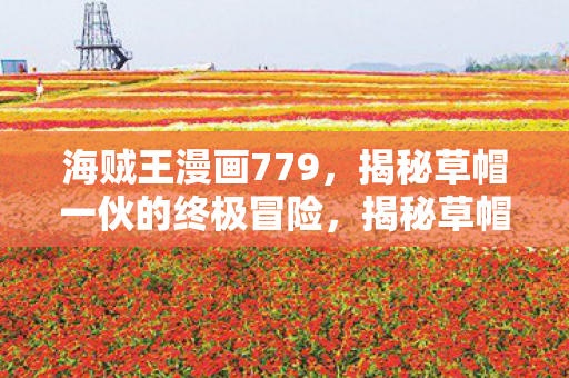 揭秘草帽一伙的终极冒险图片