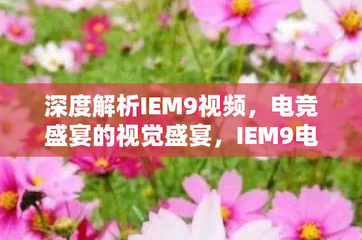 深度解析IEM9视频图片