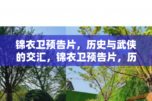 历史与武侠的交汇图片