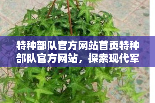 特种部队官方网站首页特种部队官方网站图片
