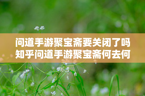 问道手游聚宝斋要关闭了吗知乎问道手游聚宝斋何去何从，官方公告与市场动态解析，问道手游聚宝斋何去何从，官方公告与市场动态解析