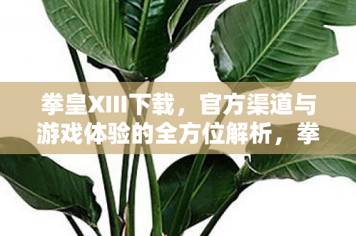 拳皇XIII官方下载与游戏全解析图片