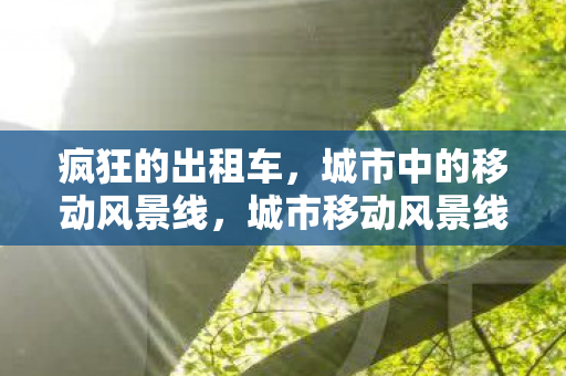 城市中的移动风景线图片