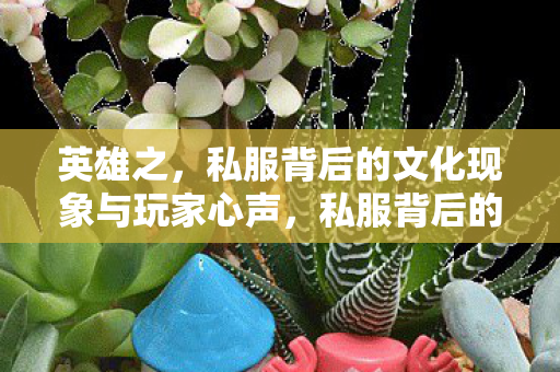 私服背后的文化现象与玩家心声图片