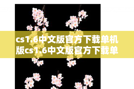 6中文版官方下载单机版cs1图片