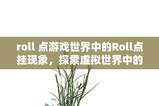 roll 点游戏世界中的Roll点挂现象图片