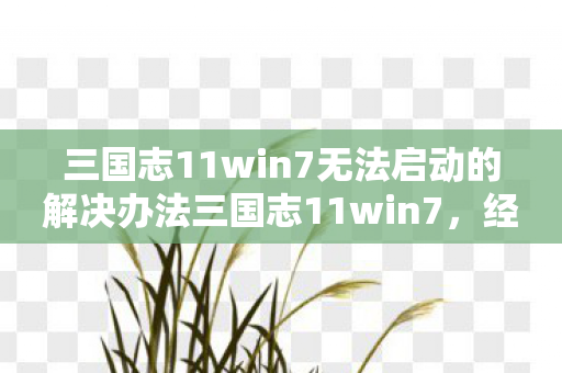 三国志11win7无法启动的解决办法三国志11win7图片