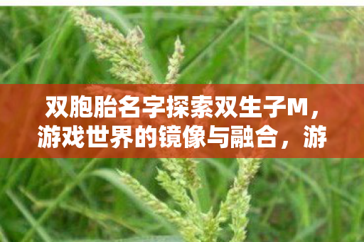 双胞胎名字探索双生子M图片