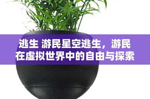 游民在虚拟世界中的自由与探索图片