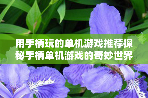 用手柄玩的单机游戏推荐探秘手柄单机游戏的奇妙世界图片