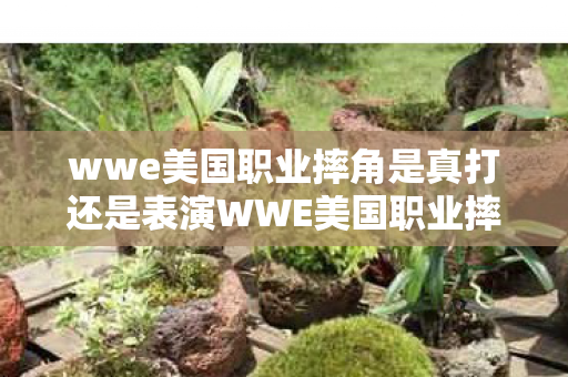 wwe美国职业摔角是真打还是表演WWE美国职业摔角SD图片