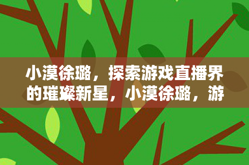 探索游戏直播界的璀璨新星图片