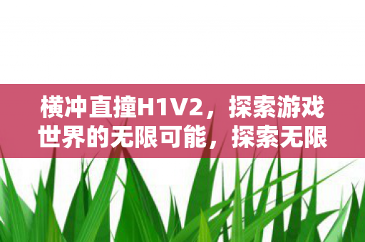 H1V2横冲直撞游戏世界图片