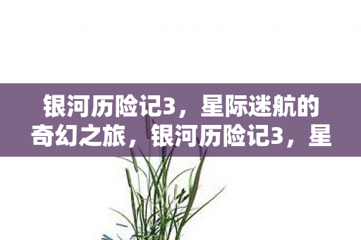 星际迷航的奇幻之旅图片