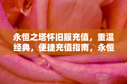 永恒之塔怀旧服便捷充值图片