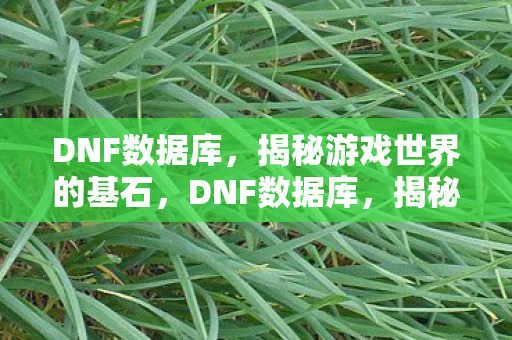 揭秘游戏世界的基石图片
