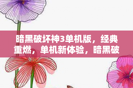 暗黑破坏神3单机版图片
