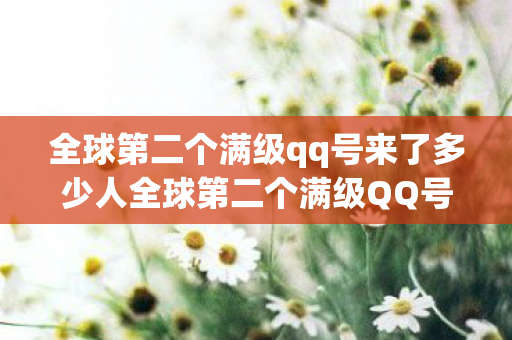 全球第二个满级qq号来了多少人全球第二个满级QQ号诞生图片