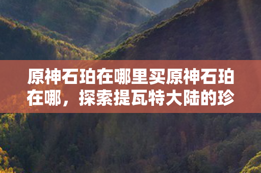 原神石珀在哪里买原神石珀在哪图片
