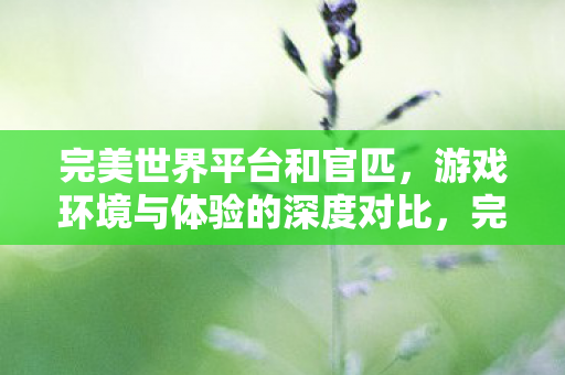 完美世界平台和官匹,游戏环境与体验的深度对比,完美世界平台与官匹,游戏环境与体验的深度对比 完美世界平台和官匹,游戏环境与体验的深度对比,完美世界平台与官匹,游戏环境与体验的深度对比