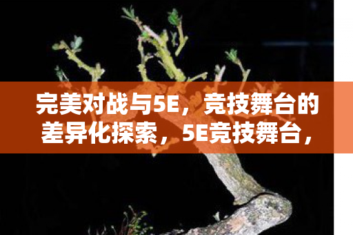 完美对战与5E,竞技舞台的差异化探索,5E竞技舞台,差异化探索的完美对战 完美对战与5E,竞技舞台的差异化探索,5E竞技舞台,差异化探索的完美对战