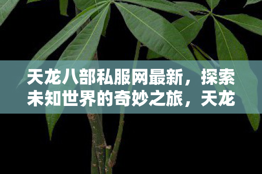 探索未知世界的奇妙之旅图片
