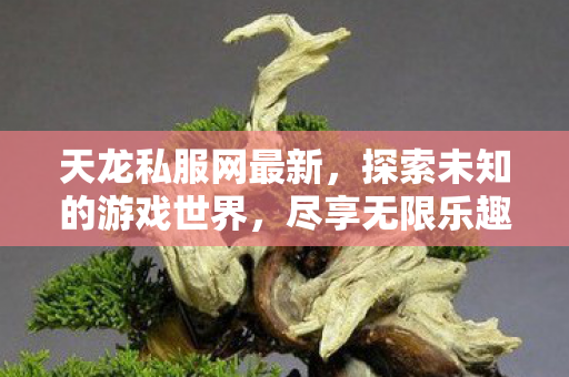 开启无限游戏乐趣之旅图片