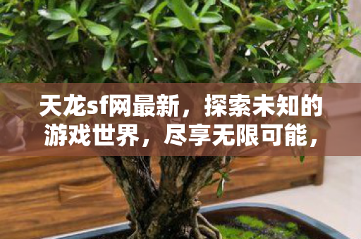 天龙sf网最新资讯尽享无限可能图片