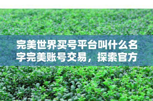 完美世界买号平台叫什么名字完美账号交易，探索官方认可的买号平台，完美账号交易，官方认可的买号平台