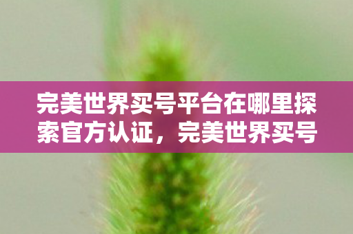 完美世界买号平台在哪里探索官方认证,完美世界买号平台揭秘,揭秘,完美世界官方认证买号平台在哪里? 完美世界买号平台在哪里探索官方认证,完美世界买号平台揭秘,揭秘,完美世界官方认证买号平台在哪里?