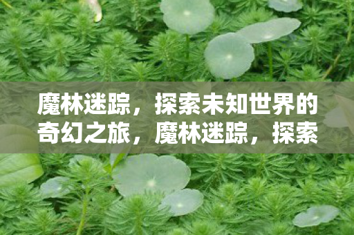 探索未知世界的奇幻之旅图片