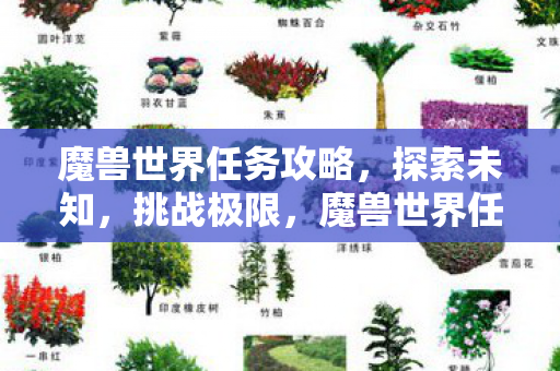 魔兽世界任务全攻略图片