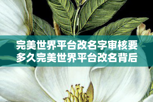 完美世界平台改名字审核要多久完美世界平台改名背后的深意,重塑品牌形象,引领游戏新风尚,完美世界平台改名背后的深意,重塑品牌形象,引领游戏新风尚 完美世界平台改名字审核要多久完美世界平台改名背后的深意,重塑品牌形象,引领游戏新风尚,完美世界平台改名背后的深意,重塑品牌形象,引领游戏新风尚