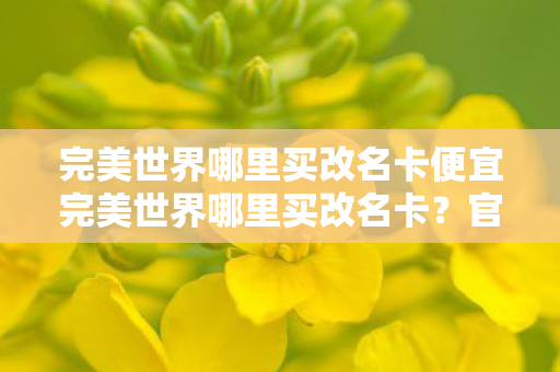 完美世界哪里买改名卡便宜完美世界哪里买改名卡?官方渠道全解析,官方渠道全解析,完美世界哪里买改名卡最划算? 完美世界哪里买改名卡便宜完美世界哪里买改名卡?官方渠道全解析,官方渠道全解析,完美世界哪里买改名卡最划算?
