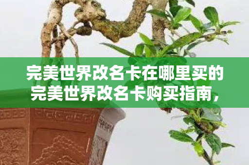 完美世界改名卡在哪里买的完美世界改名卡购买指南,官方渠道与优惠信息全解析,官方渠道与优惠信息全解析,如何购买完美世界改名卡 完美世界改名卡在哪里买的完美世界改名卡购买指南,官方渠道与优惠信息全解析,官方渠道与优惠信息全解析,如何购买完美世界改名卡