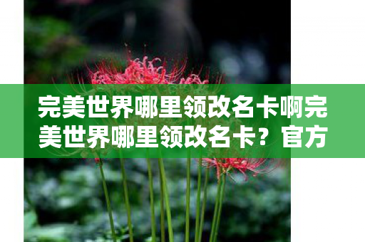 完美世界哪里领改名卡啊完美世界哪里领改名卡?官方渠道全解析,官方渠道全解析,完美世界哪里领改名卡? 完美世界哪里领改名卡啊完美世界哪里领改名卡?官方渠道全解析,官方渠道全解析,完美世界哪里领改名卡?