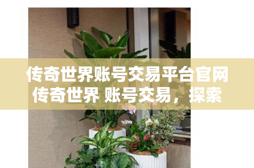传奇世界账号交易平台官网传奇世界 账号交易图片