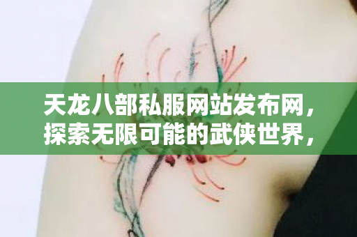 天龙八部私服网站发布网图片