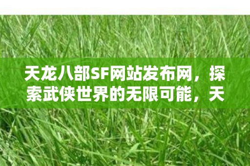 天龙八部SF网站发布网图片