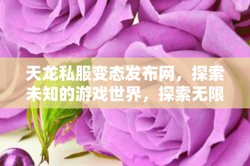 天龙私服变态发布网带你领略未知游戏世界图片