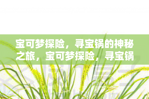 寻宝锅的神秘之旅图片