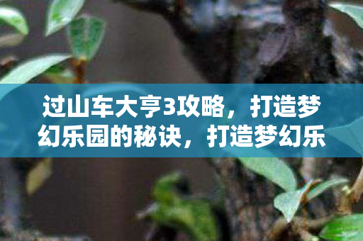 过山车大亨3攻略全解析图片