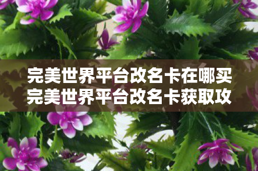完美世界平台改名卡在哪买完美世界平台改名卡获取攻略,完美平台改名卡购买指南,轻松获取你的专属昵称! 完美世界平台改名卡在哪买完美世界平台改名卡获取攻略,完美平台改名卡购买指南,轻松获取你的专属昵称!